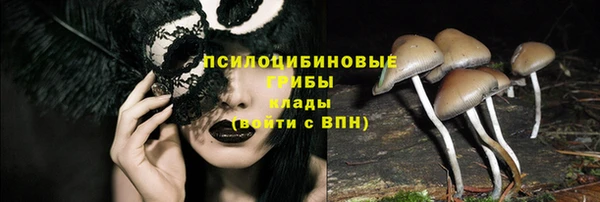 apvp Новодвинск