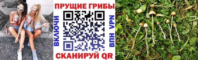 наркота  МЕГА ONION  Псилоцибиновые грибы Magic Shrooms  Осташков 